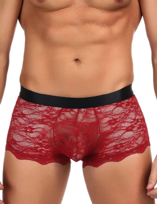 Sexy Red Lace Strappy Panty For Men